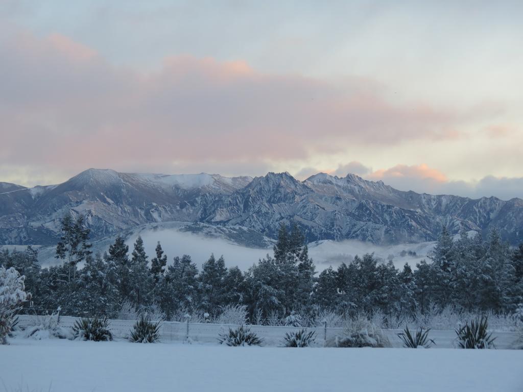 Wanaka Haven Bed and Breakfast Eksteriør billede